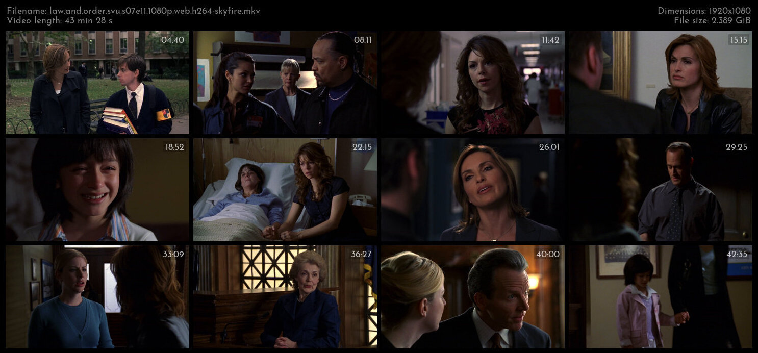 Law And Order SVU S07E11 1080p WEB H264 SKYFiRE TGx