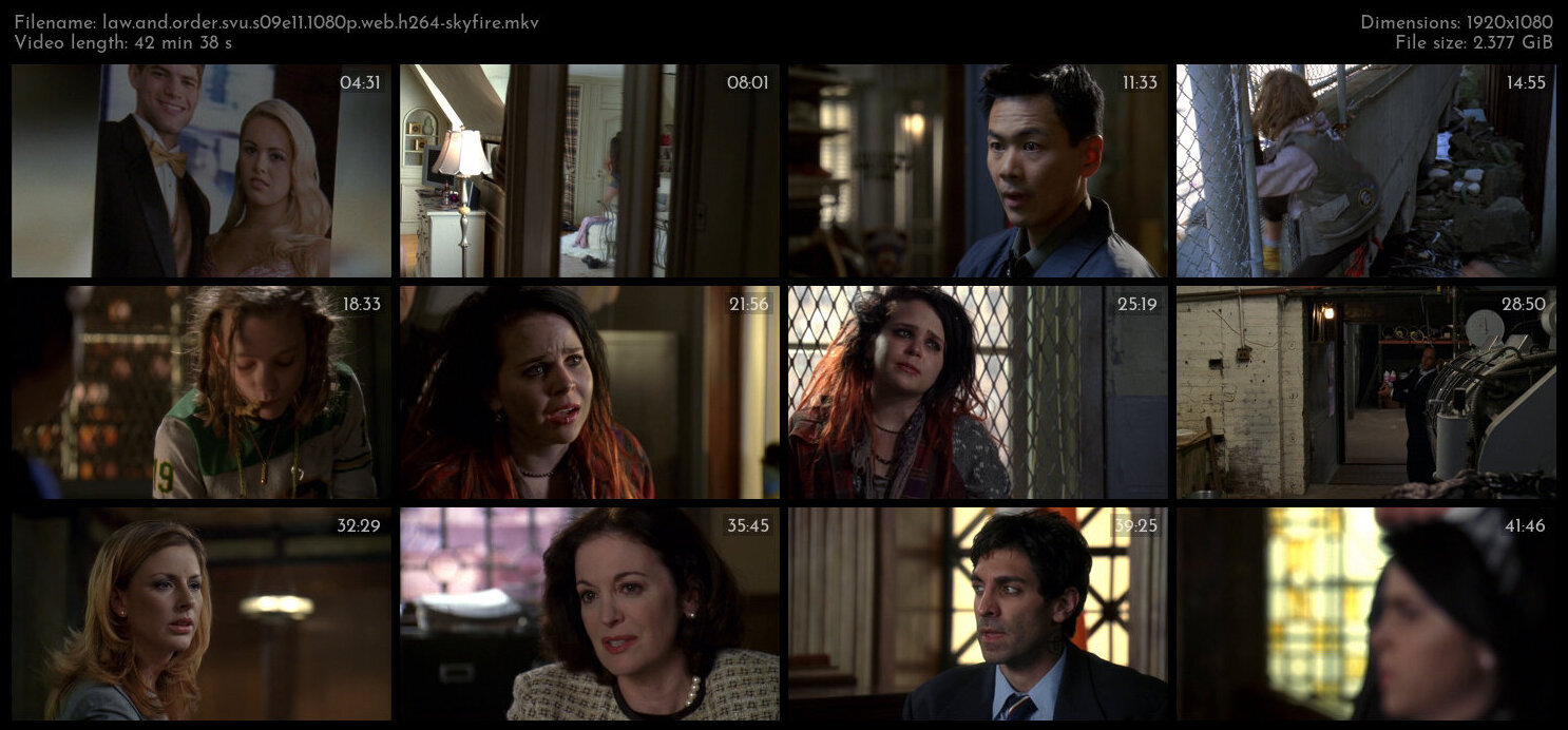 Law And Order SVU S09E11 1080p WEB H264 SKYFiRE TGx