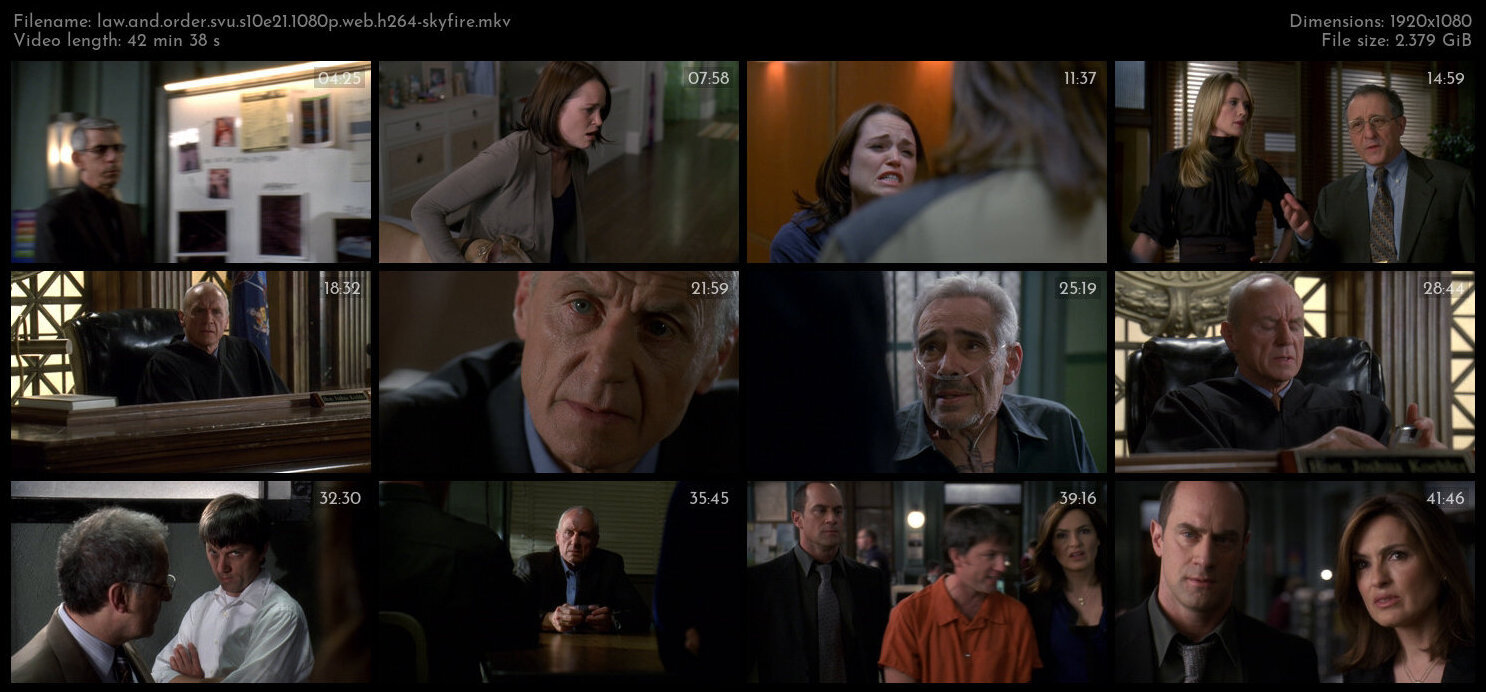 Law And Order SVU S10E21 1080p WEB H264 SKYFiRE TGx