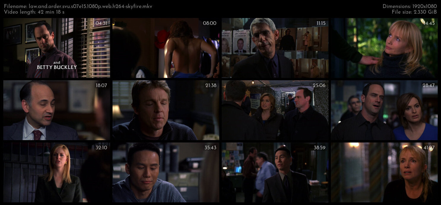 Law And Order SVU S07E15 1080p WEB H264 SKYFiRE TGx