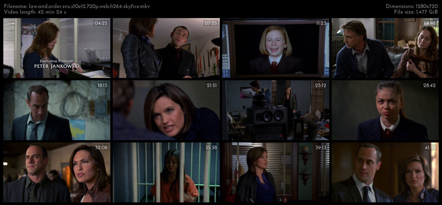 Law And Order SVU S10E12 720p WEB H264 SKYFiRE TGx