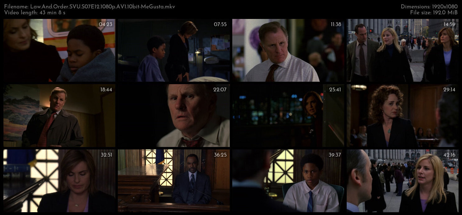 Law And Order SVU S07E12 1080p AV1 10bit MeGusta TGx