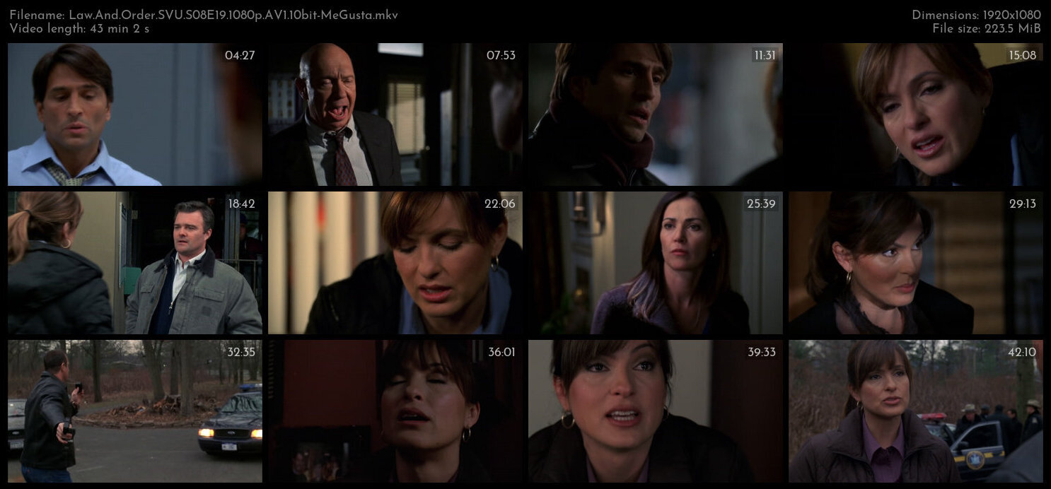 Law And Order SVU S08E19 1080p AV1 10bit MeGusta TGx