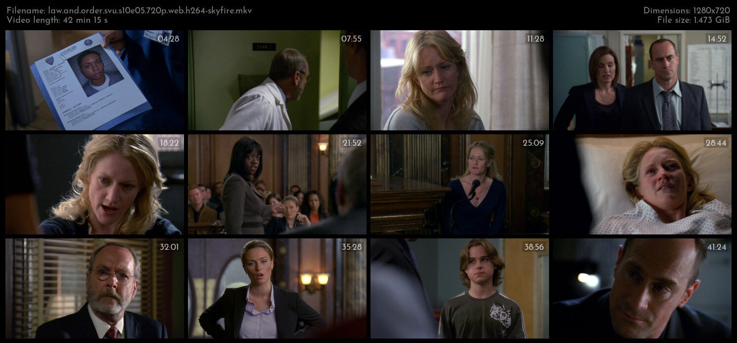 Law And Order SVU S10E05 720p WEB H264 SKYFiRE TGx