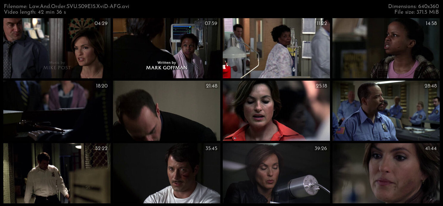 Law And Order SVU S09E15 XviD AFG TGx