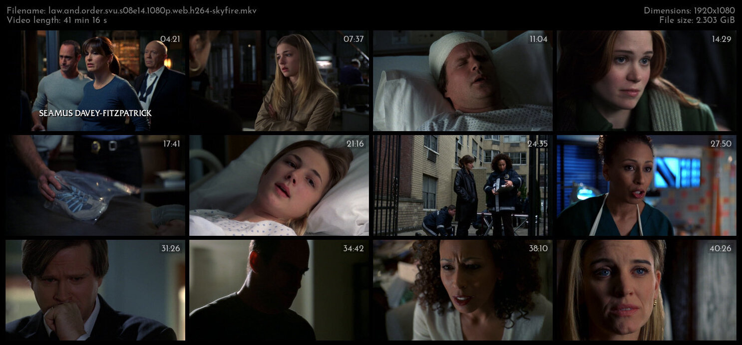 Law And Order SVU S08E14 1080p WEB H264 SKYFiRE TGx