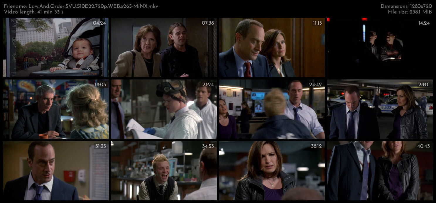 Law And Order SVU S10E22 720p WEB x265 MiNX TGx