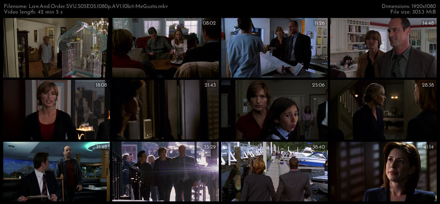 Law And Order SVU S05E05 1080p AV1 10bit MeGusta TGx