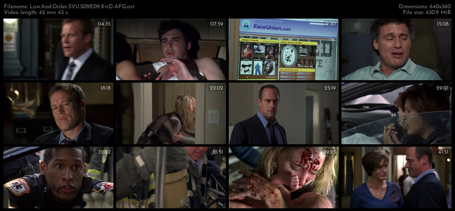 Law And Order SVU S09E09 XviD AFG TGx