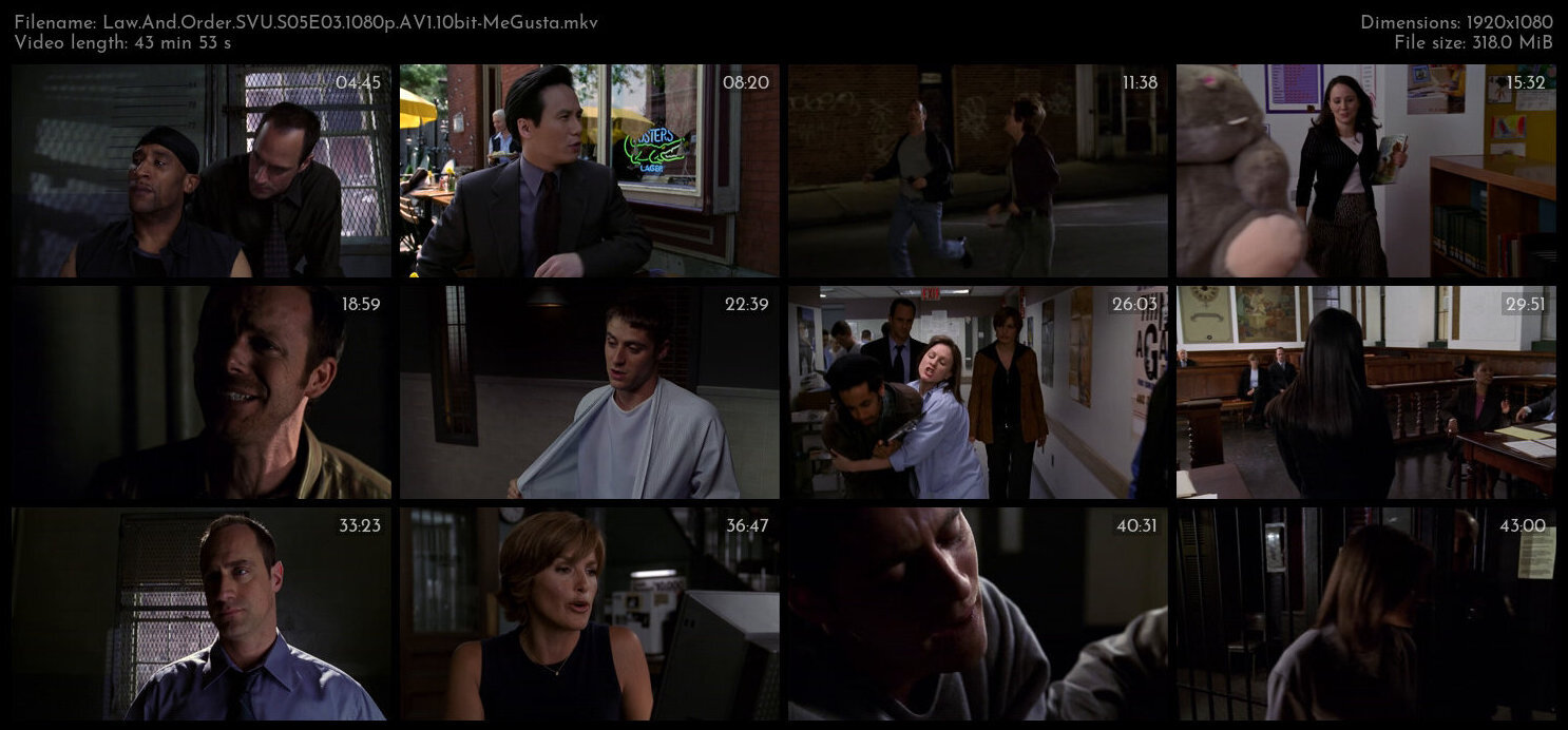 Law And Order SVU S05E03 1080p AV1 10bit MeGusta TGx