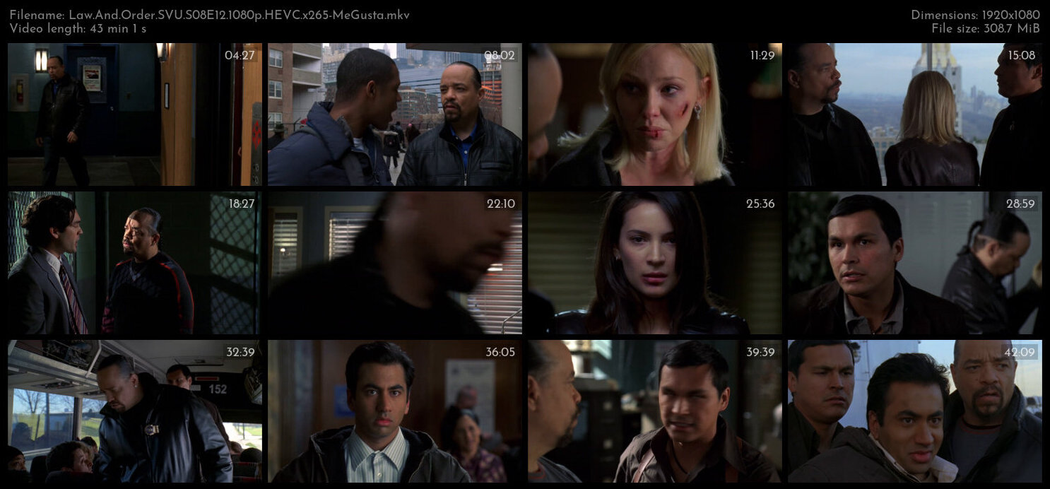 Law And Order SVU S08E12 1080p HEVC x265 MeGusta TGx