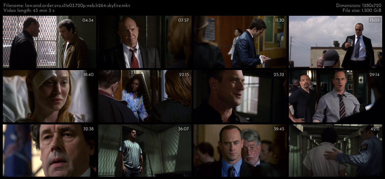 Law And Order SVU S11E03 720p WEB H264 SKYFiRE TGx