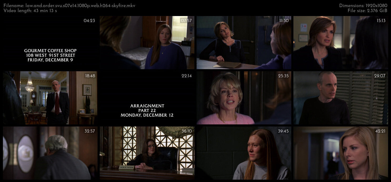 Law And Order SVU S07E14 1080p WEB H264 SKYFiRE TGx