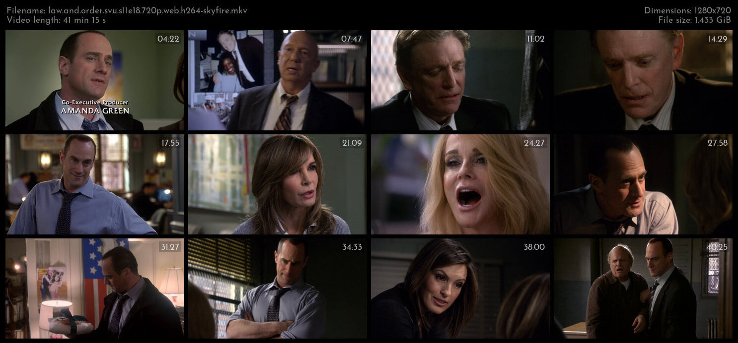 Law And Order SVU S11E18 720p WEB H264 SKYFiRE TGx