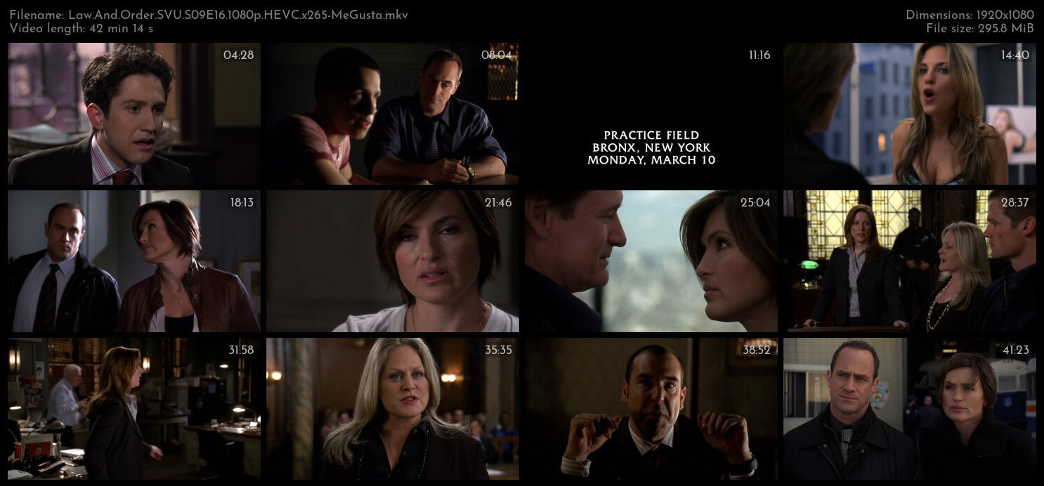 Law And Order SVU S09E16 1080p HEVC x265 MeGusta TGx