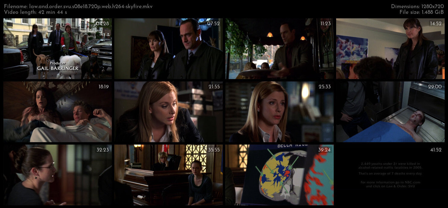 Law And Order SVU S08E18 720p WEB H264 SKYFiRE TGx