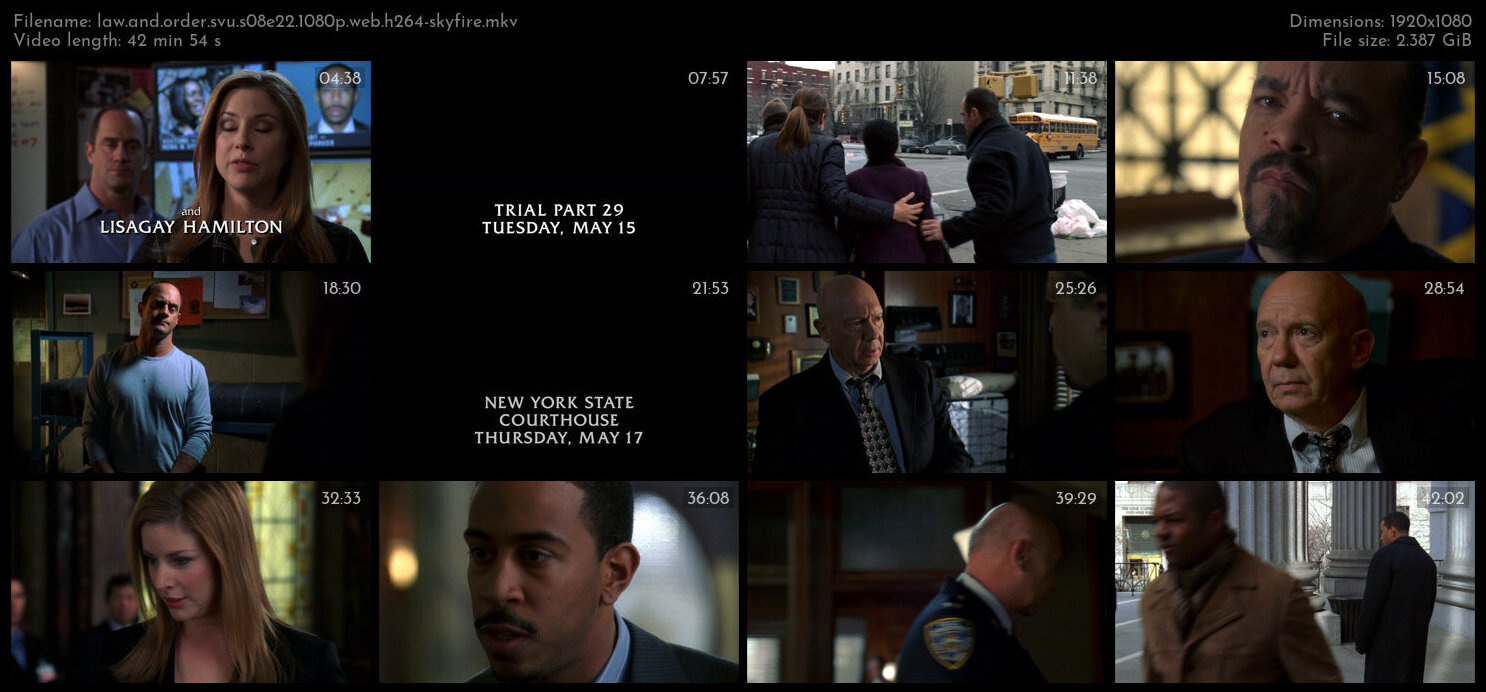 Law And Order SVU S08E22 1080p WEB H264 SKYFiRE TGx