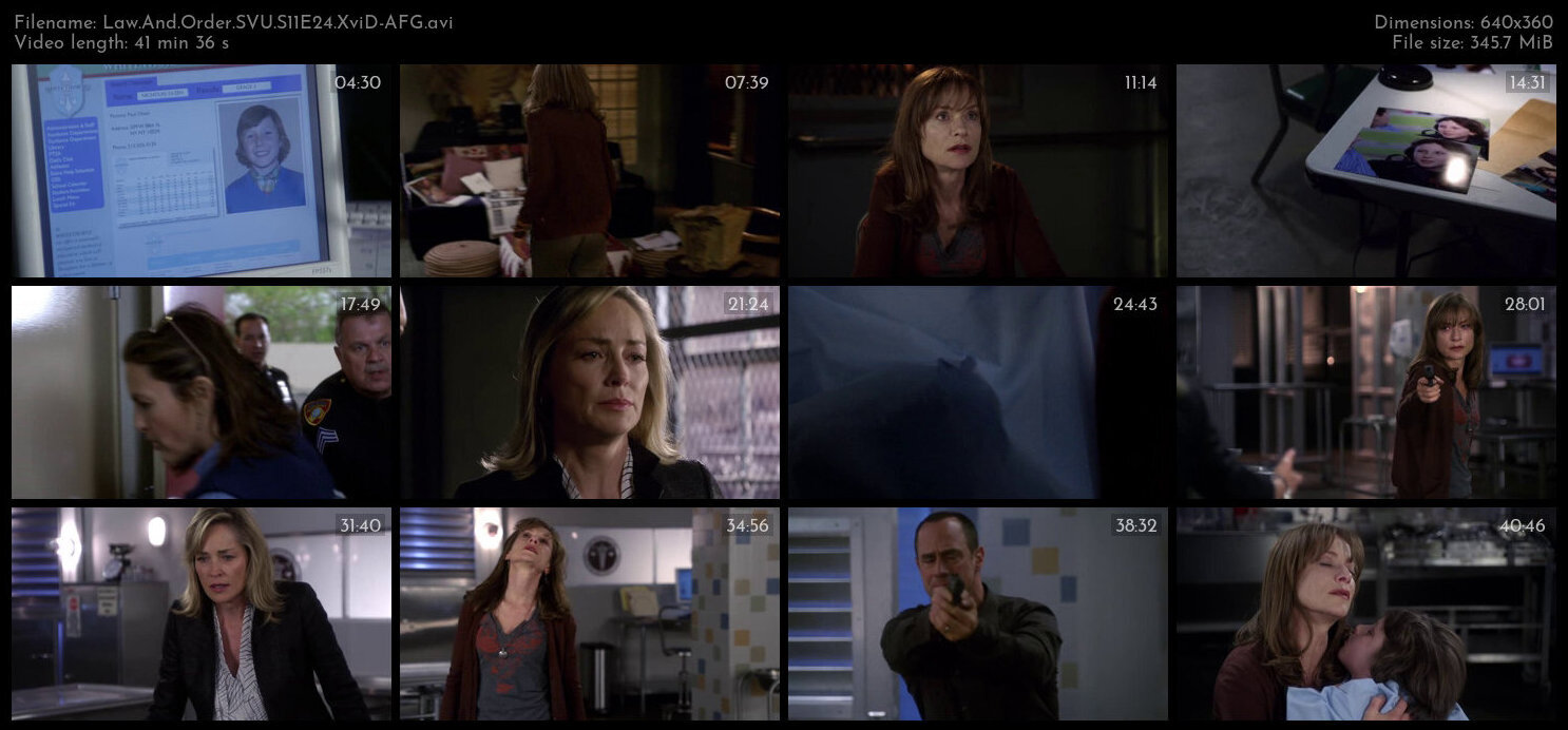 Law And Order SVU S11E24 XviD AFG TGx