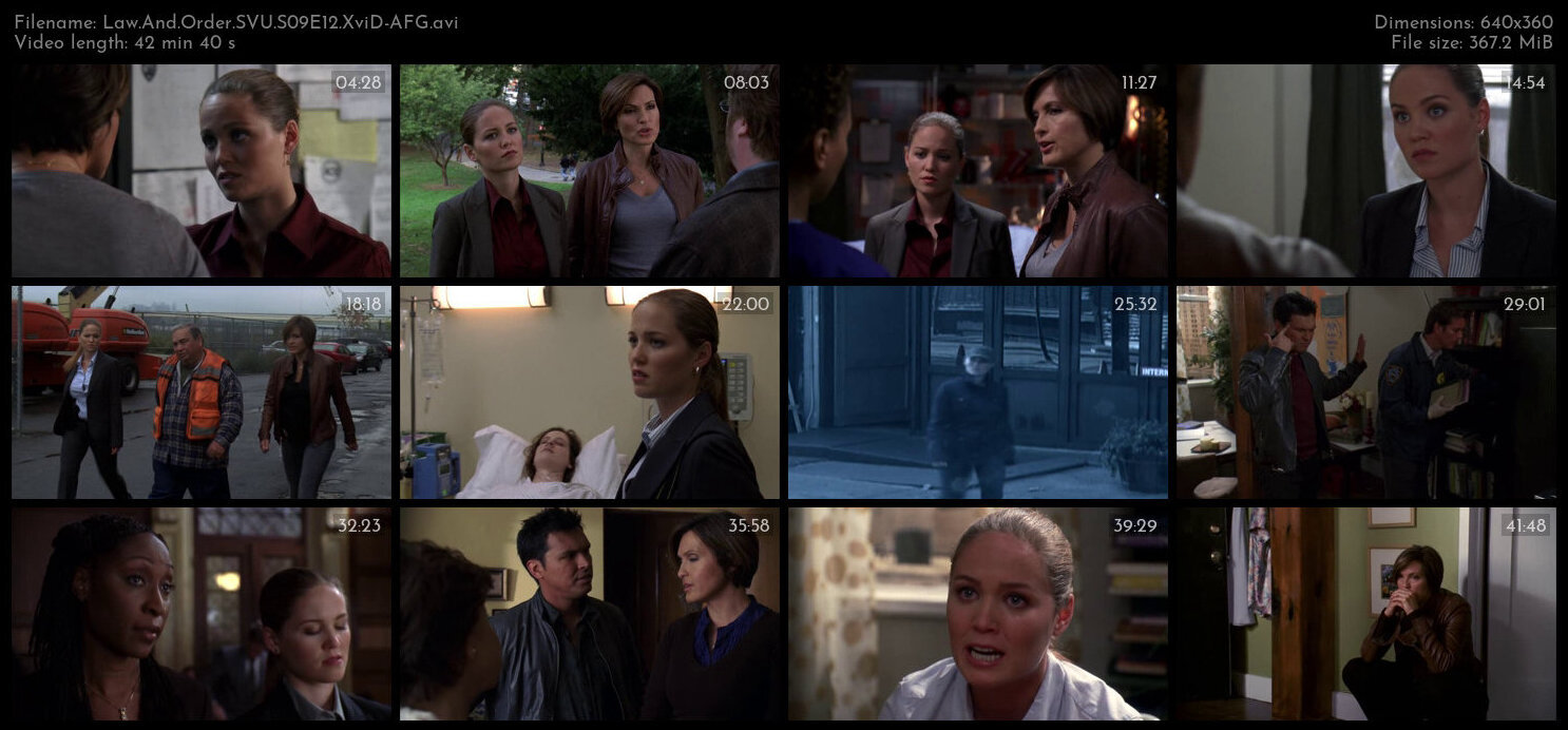 Law And Order SVU S09E12 XviD AFG TGx