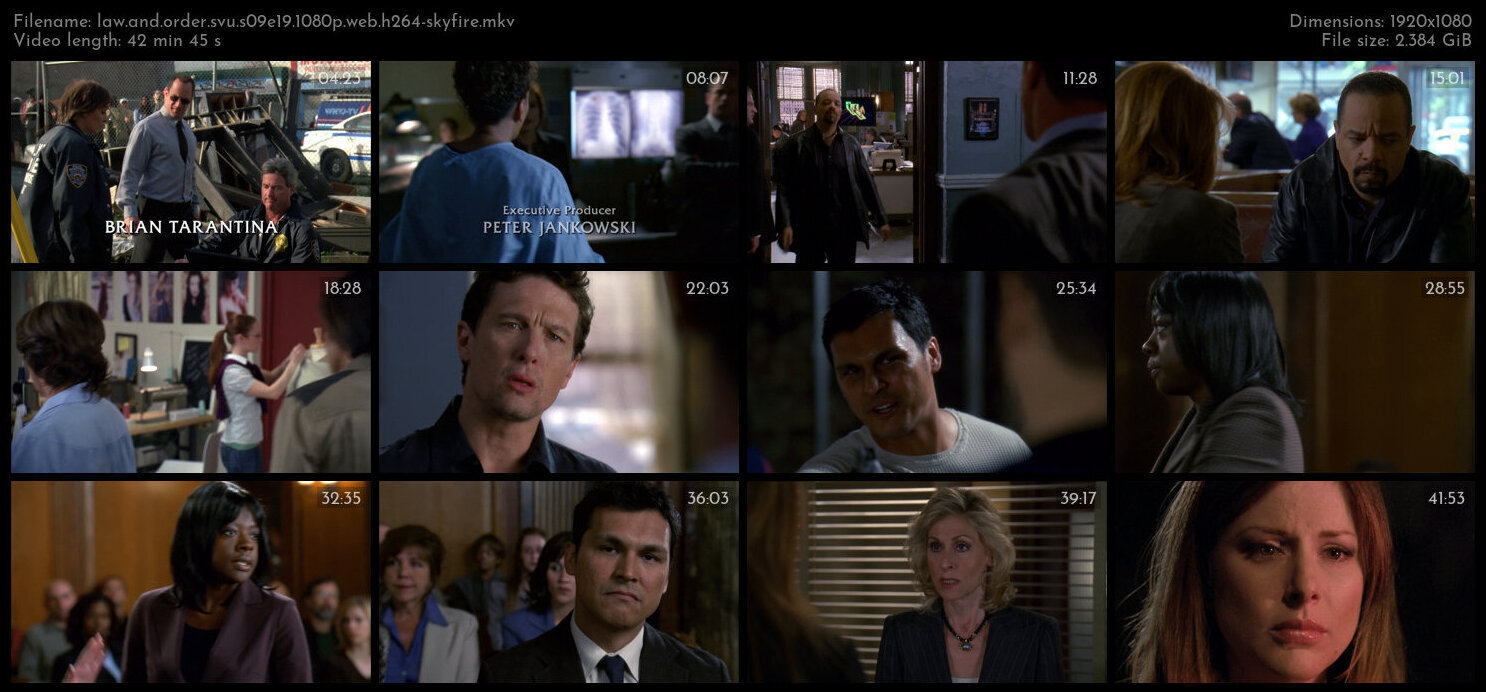 Law And Order SVU S09E19 1080p WEB H264 SKYFiRE TGx