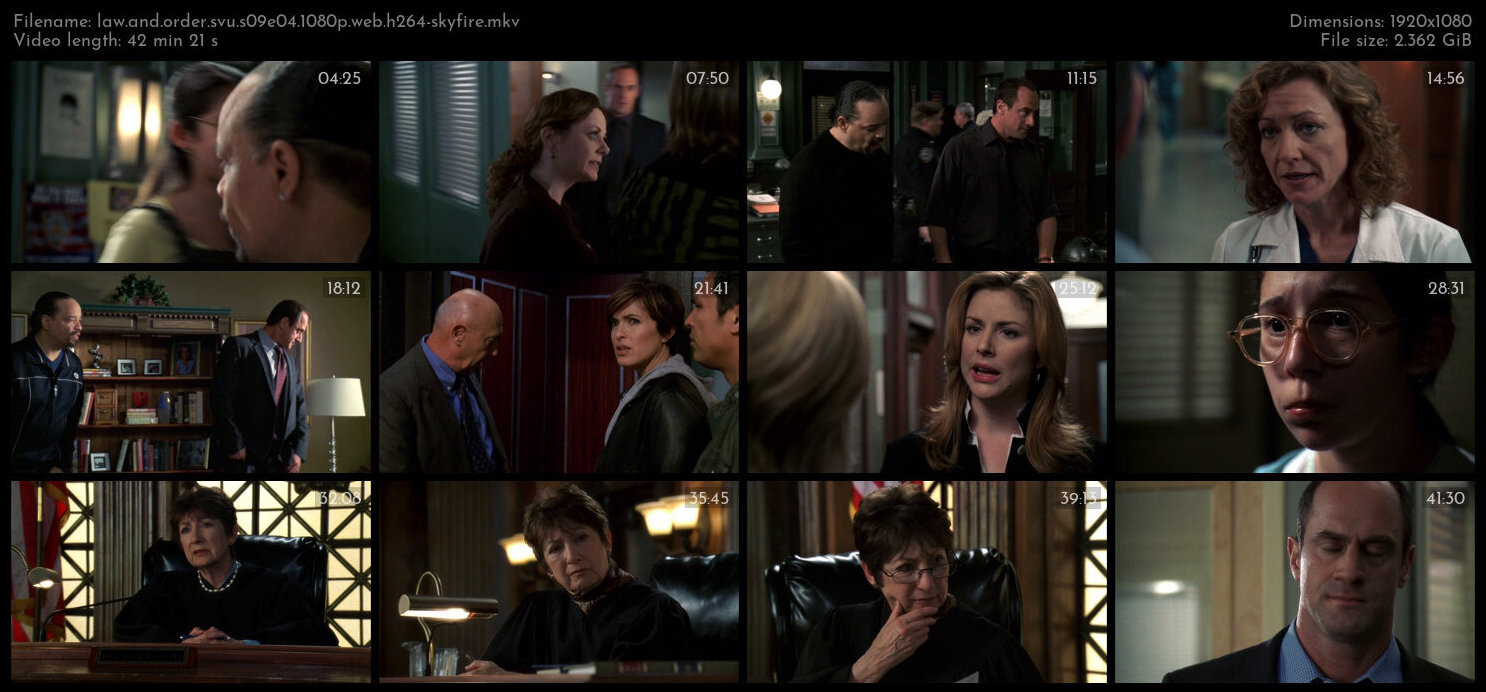 Law And Order SVU S09E04 1080p WEB H264 SKYFiRE TGx