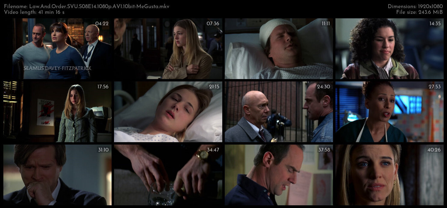 Law And Order SVU S08E14 1080p AV1 10bit MeGusta TGx