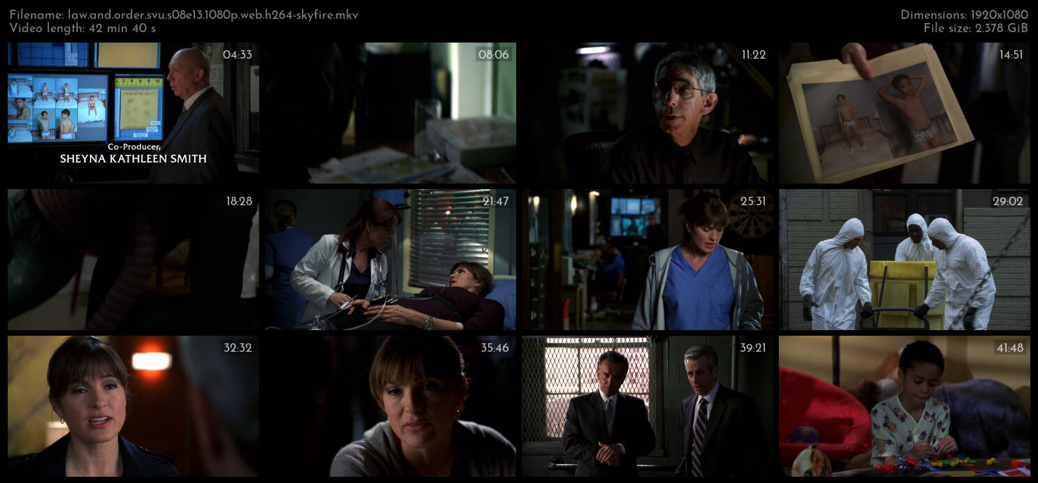 Law And Order SVU S08E13 1080p WEB H264 SKYFiRE TGx