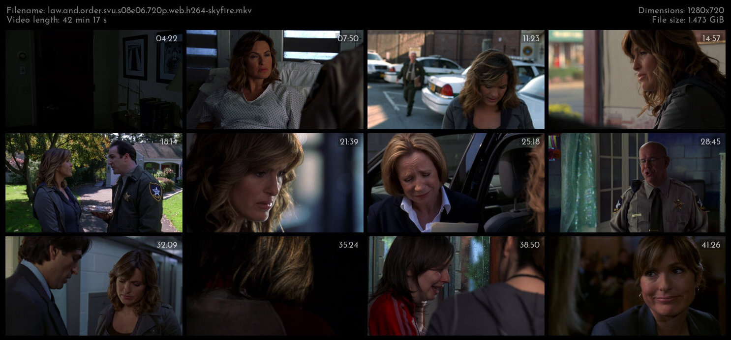 Law And Order SVU S08E06 720p WEB H264 SKYFiRE TGx