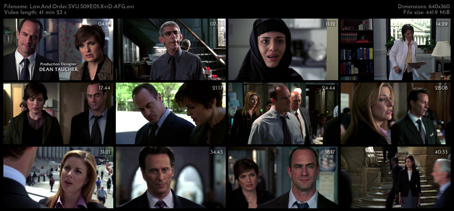 Law And Order SVU S09E05 XviD AFG TGx