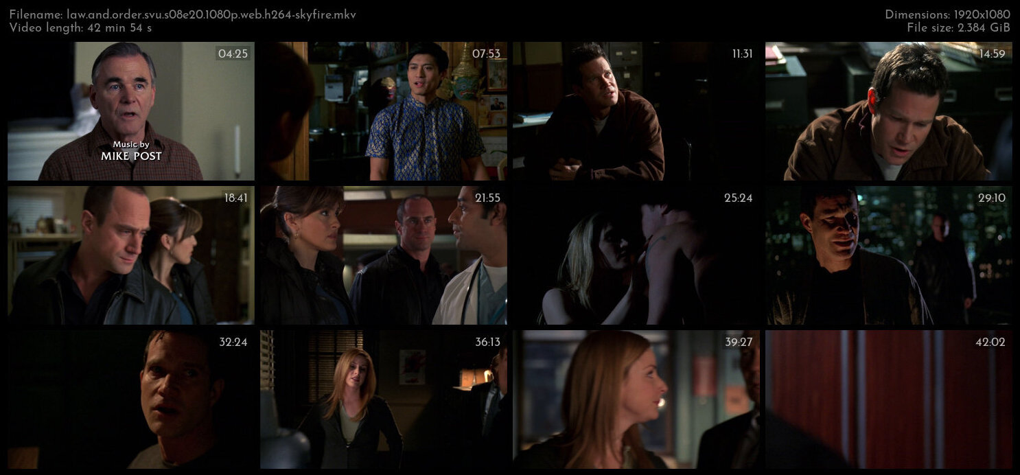 Law And Order SVU S08E20 1080p WEB H264 SKYFiRE TGx