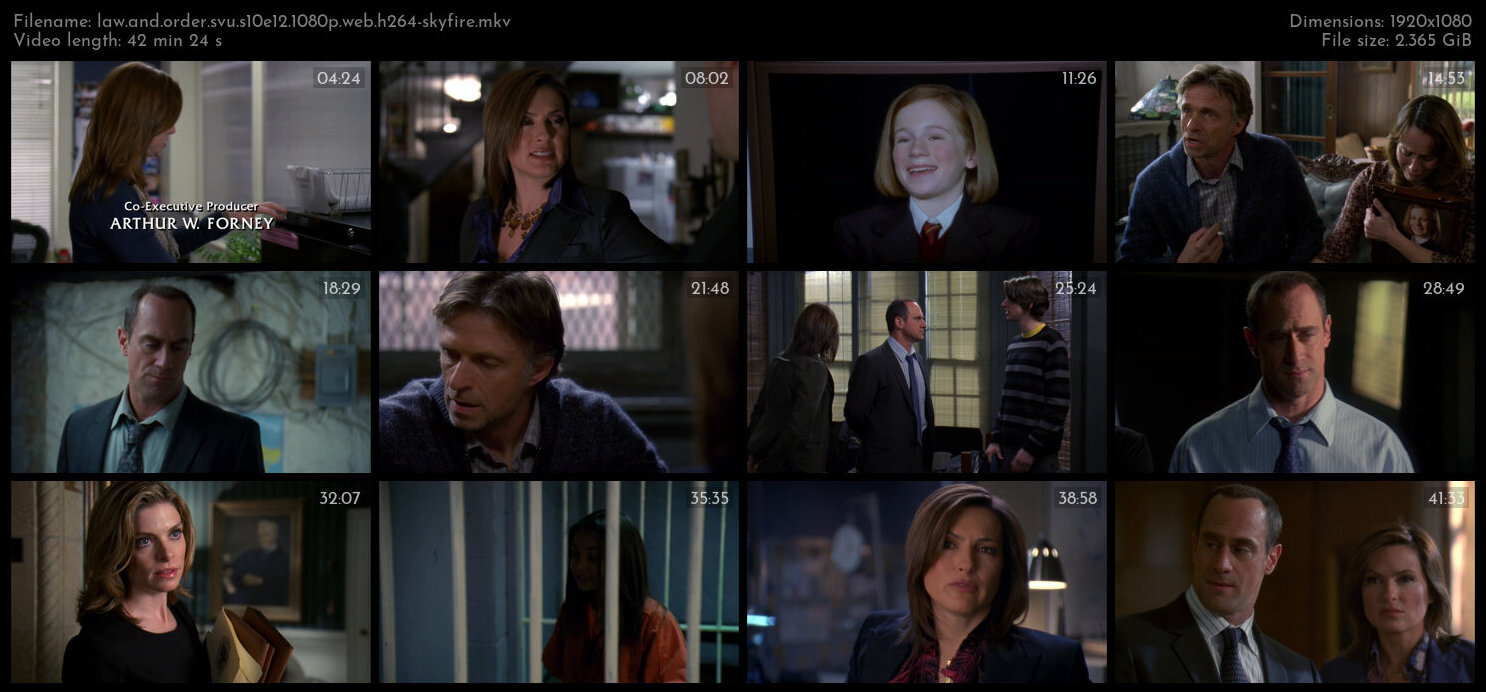 Law And Order SVU S10E12 1080p WEB H264 SKYFiRE TGx