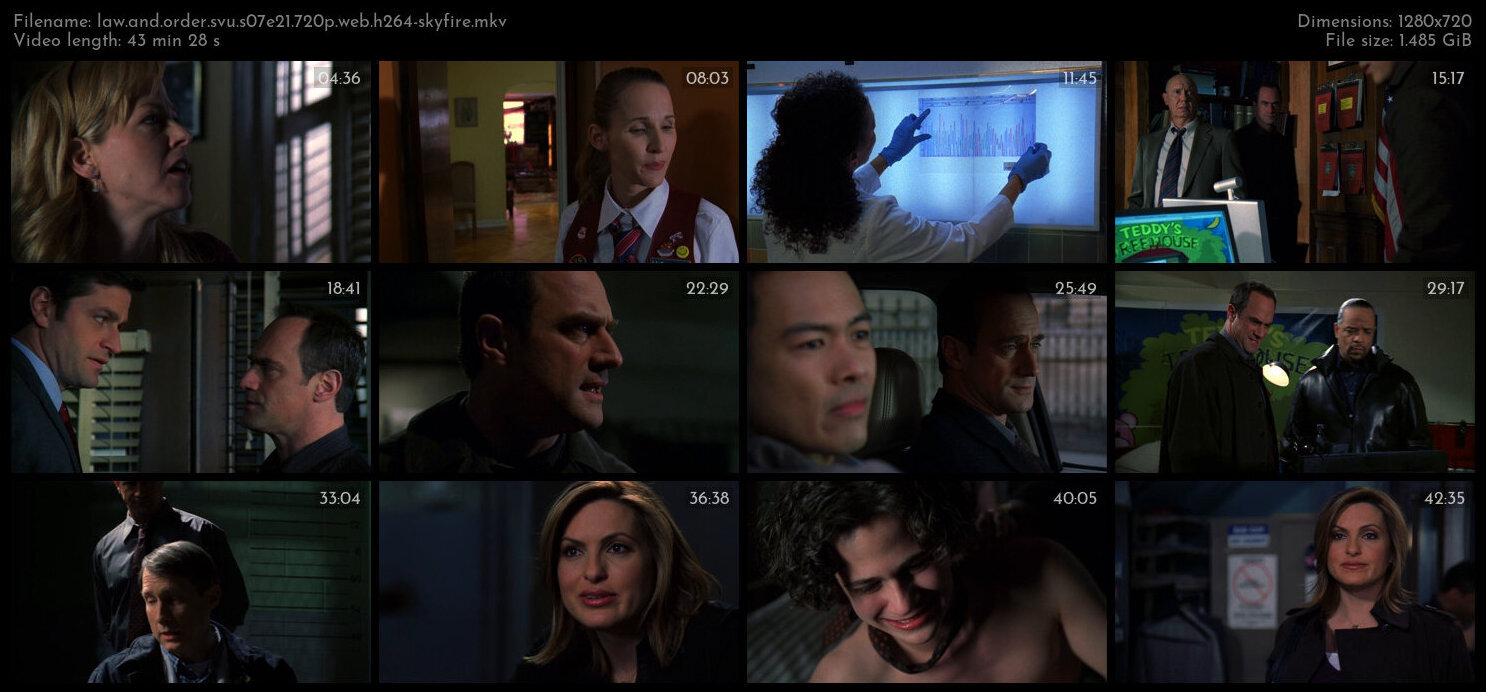 Law And Order SVU S07E21 720p WEB H264 SKYFiRE TGx