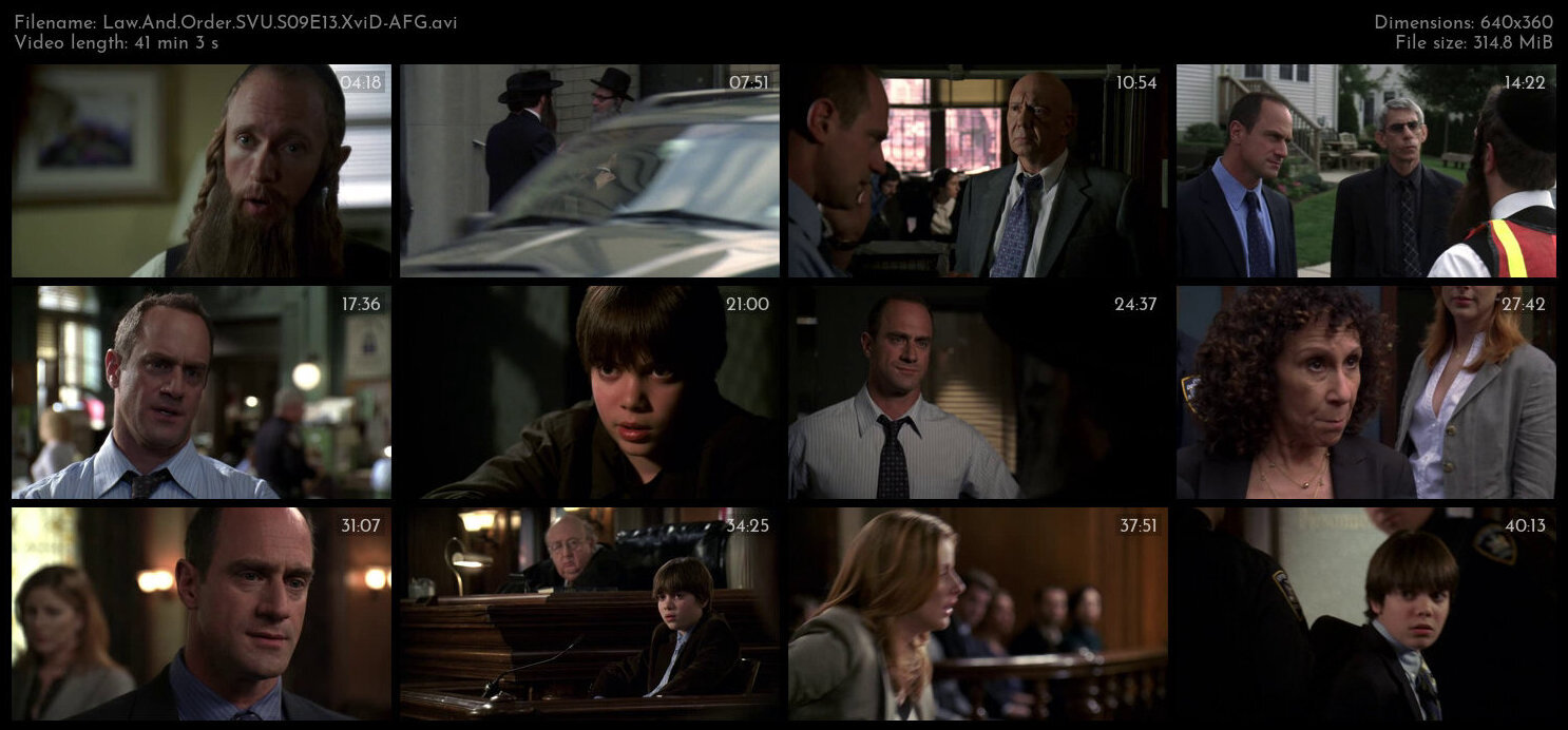 Law And Order SVU S09E13 XviD AFG TGx