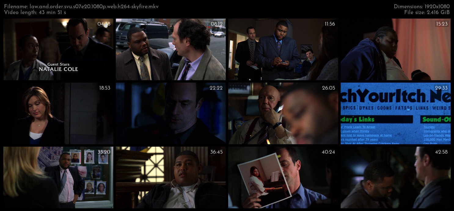 Law And Order SVU S07E20 1080p WEB H264 SKYFiRE TGx