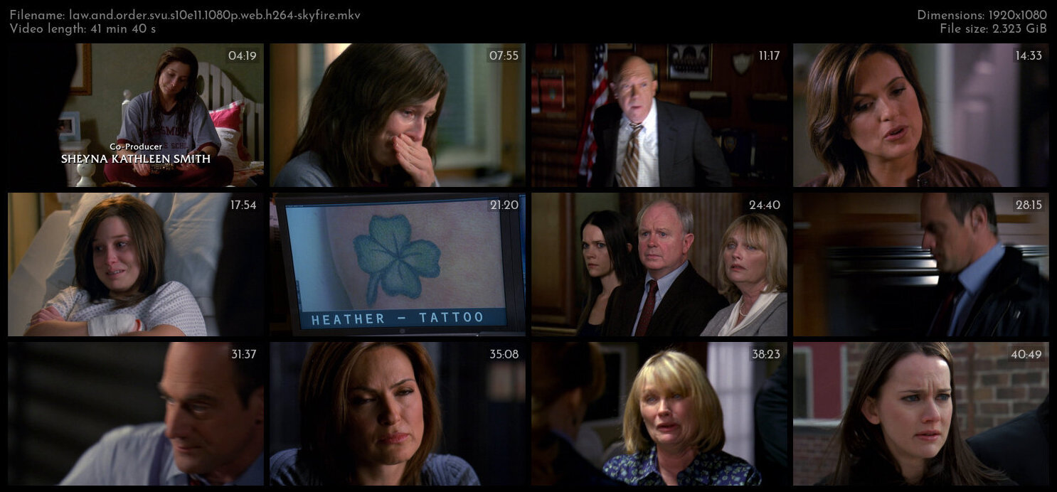 Law And Order SVU S10E11 1080p WEB H264 SKYFiRE TGx