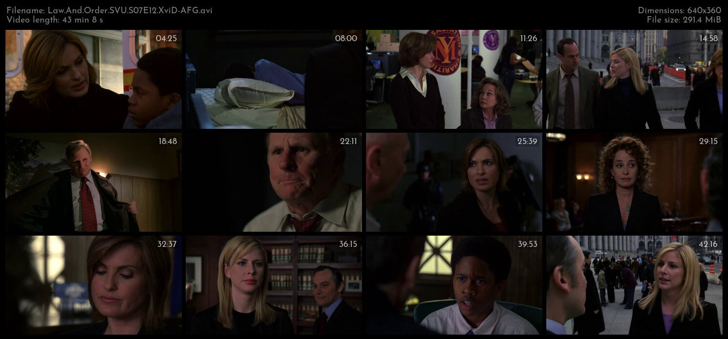 Law And Order SVU S07E12 XviD AFG TGx