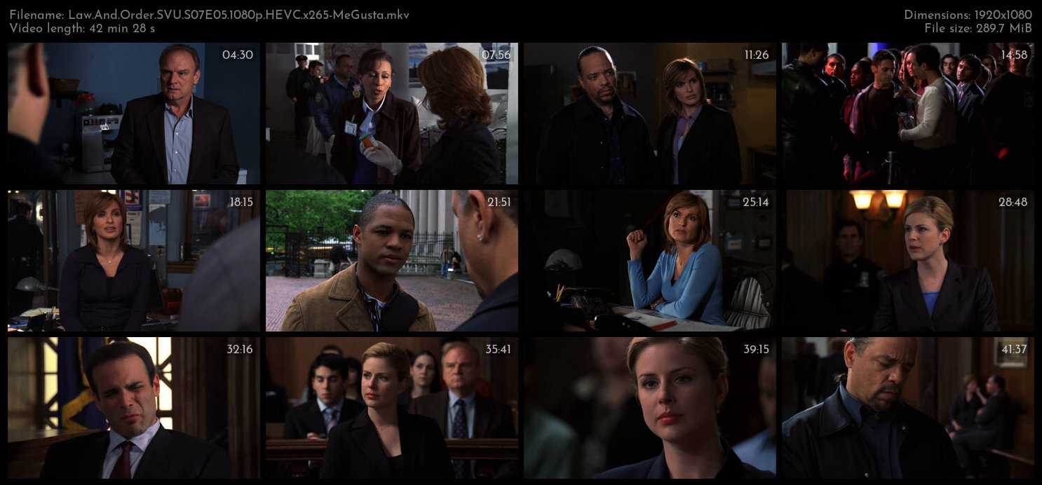 Law And Order SVU S07E05 1080p HEVC x265 MeGusta TGx