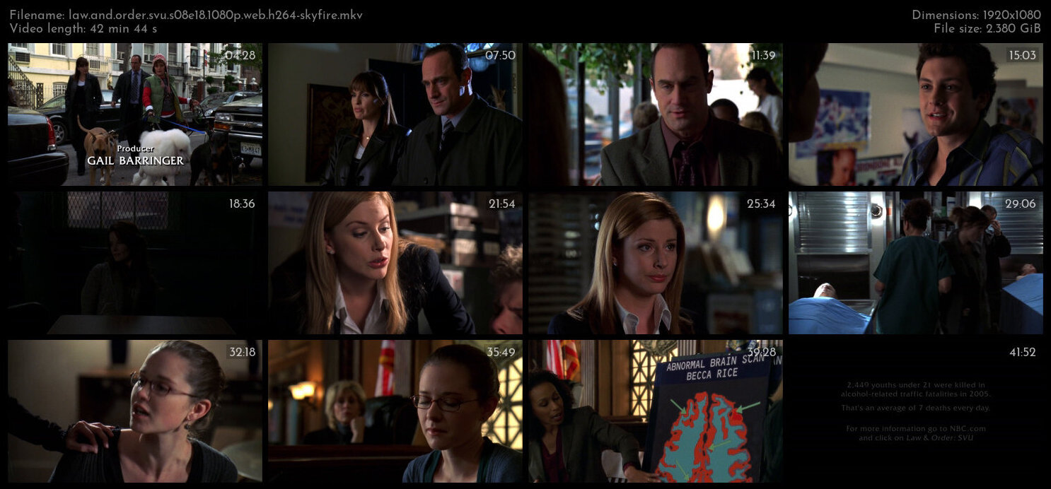 Law And Order SVU S08E18 1080p WEB H264 SKYFiRE TGx