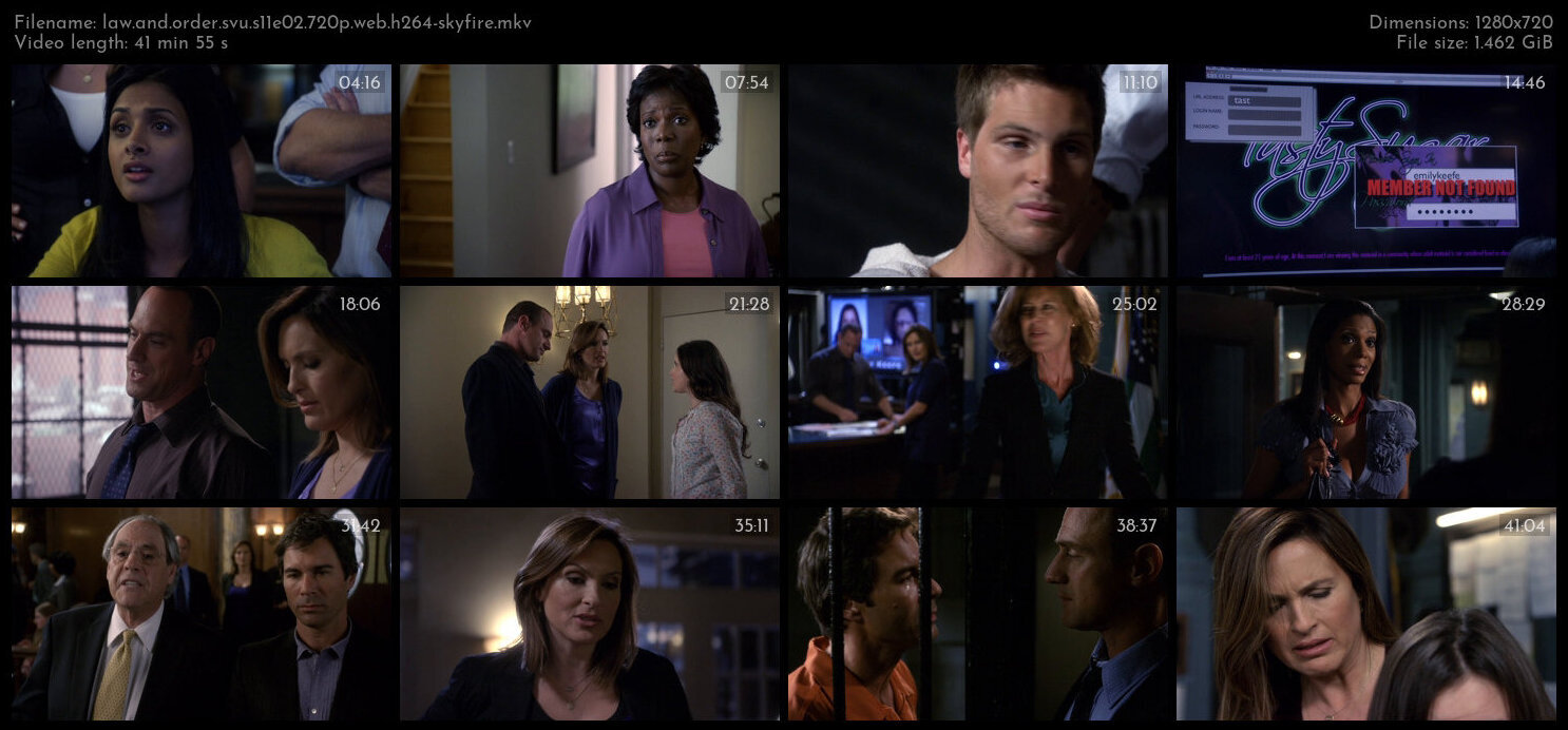 Law And Order SVU S11E02 720p WEB H264 SKYFiRE TGx