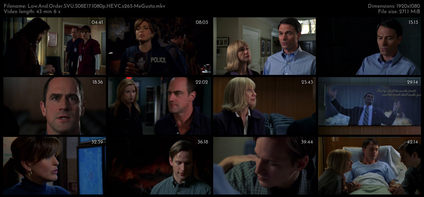 Law And Order SVU S08E17 1080p HEVC x265 MeGusta TGx