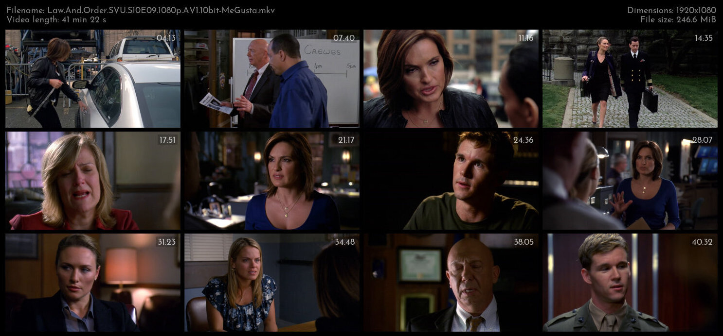 Law And Order SVU S10E09 1080p AV1 10bit MeGusta TGx