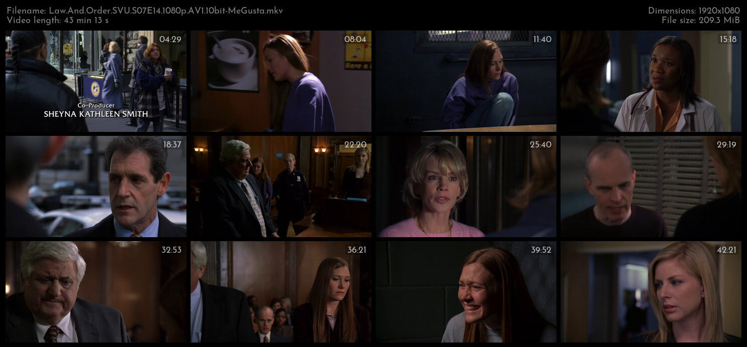 Law And Order SVU S07E14 1080p AV1 10bit MeGusta TGx