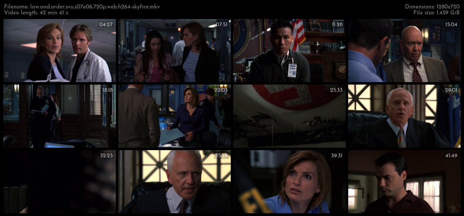 Law And Order SVU S07E06 720p WEB H264 SKYFiRE TGx