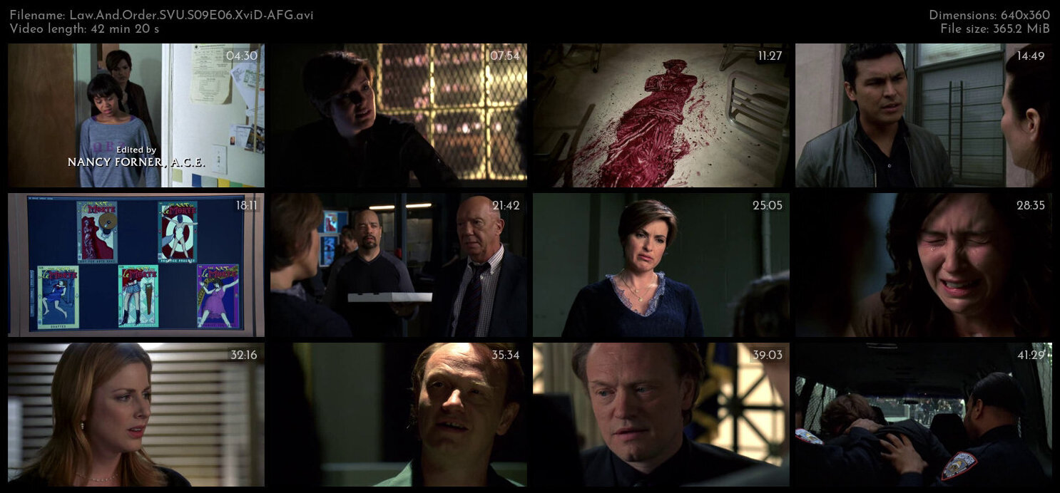 Law And Order SVU S09E06 XviD AFG TGx