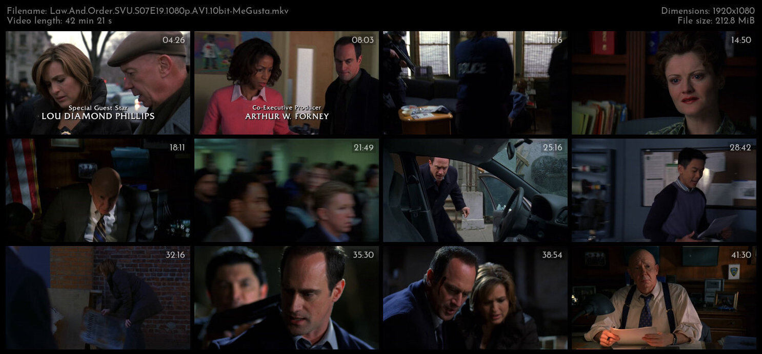 Law And Order SVU S07E19 1080p AV1 10bit MeGusta TGx