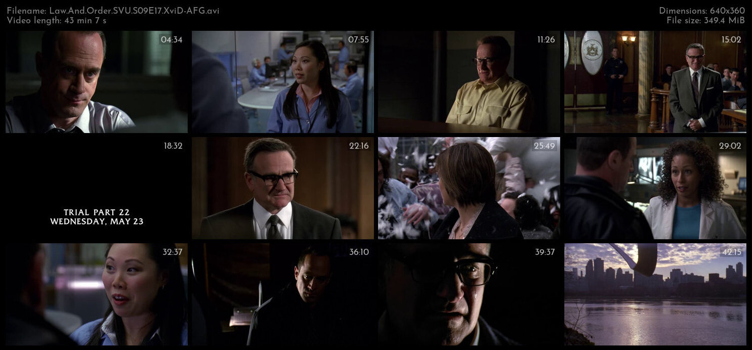 Law And Order SVU S09E17 XviD AFG TGx