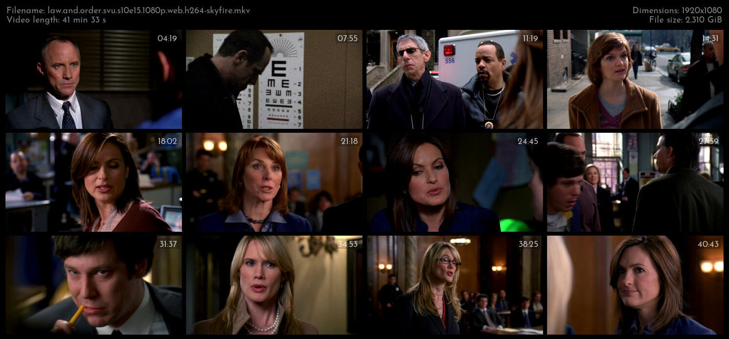 Law And Order SVU S10E15 1080p WEB H264 SKYFiRE TGx