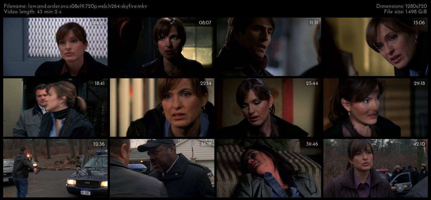 Law And Order SVU S08E19 720p WEB H264 SKYFiRE TGx