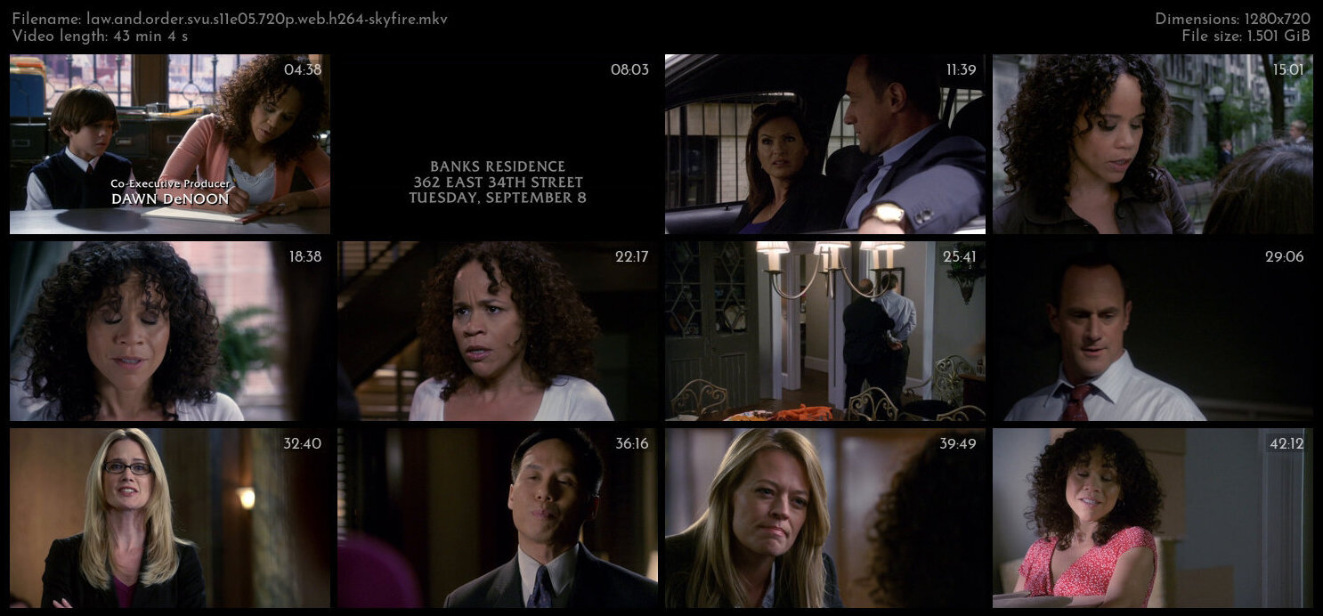 Law And Order SVU S11E05 720p WEB H264 SKYFiRE TGx