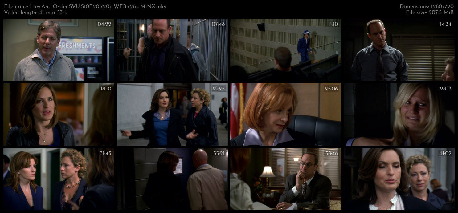 Law And Order SVU S10E20 720p WEB x265 MiNX TGx